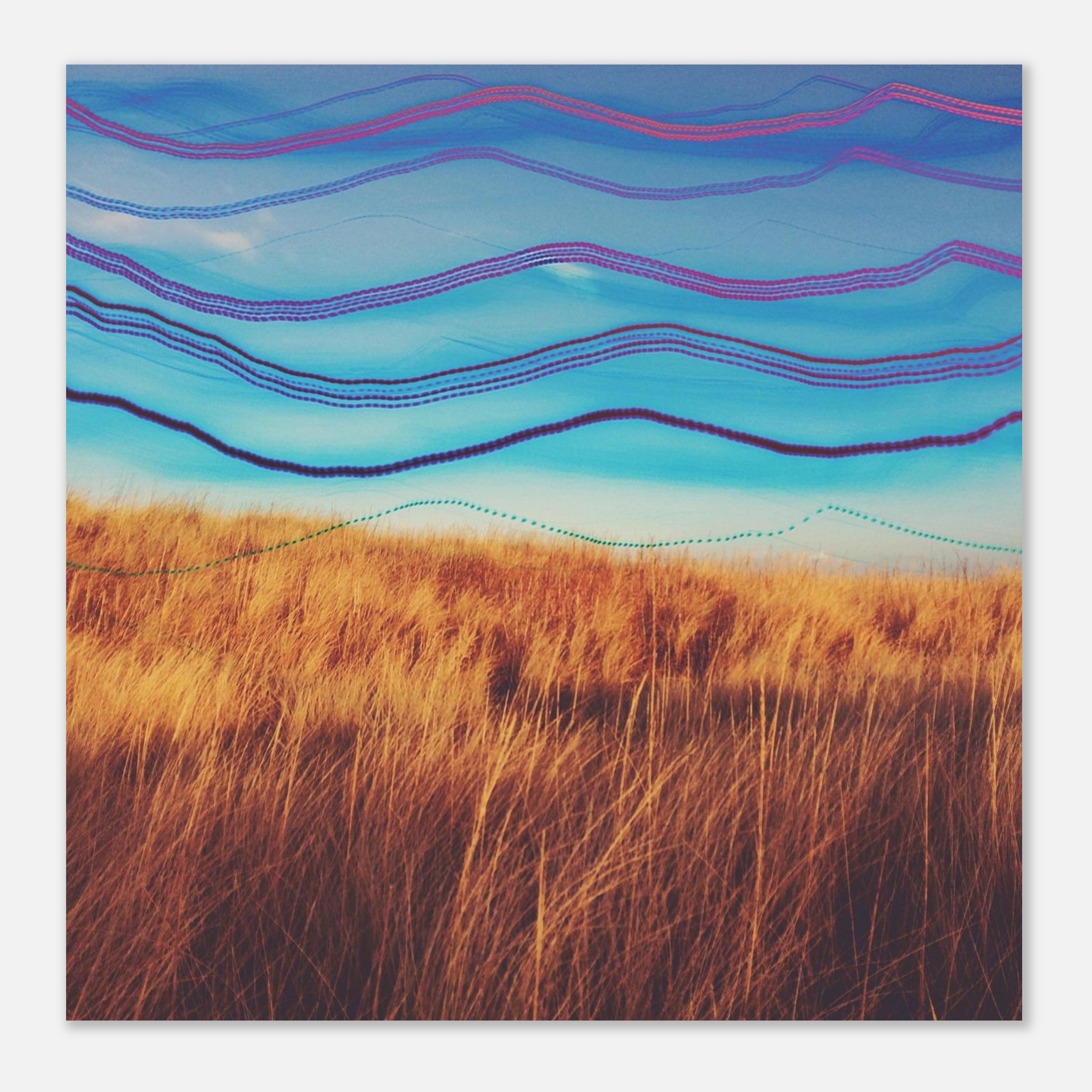 126d468a-3e69-4283-9a2d-69d0c100e3e0